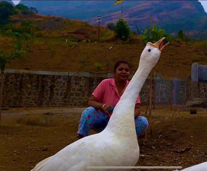 Jandyal Farm House Malshej Ghat Exterior photo